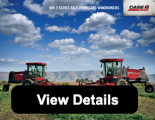 Case IH pdf #22